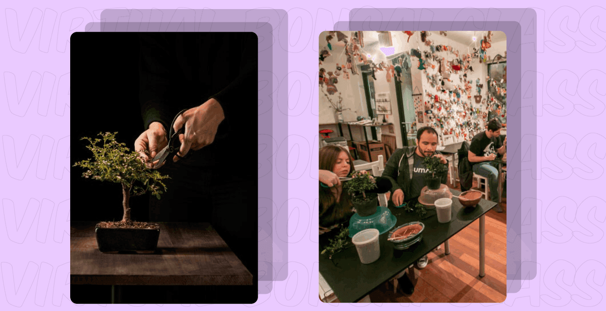 Virtual Bonsai Class