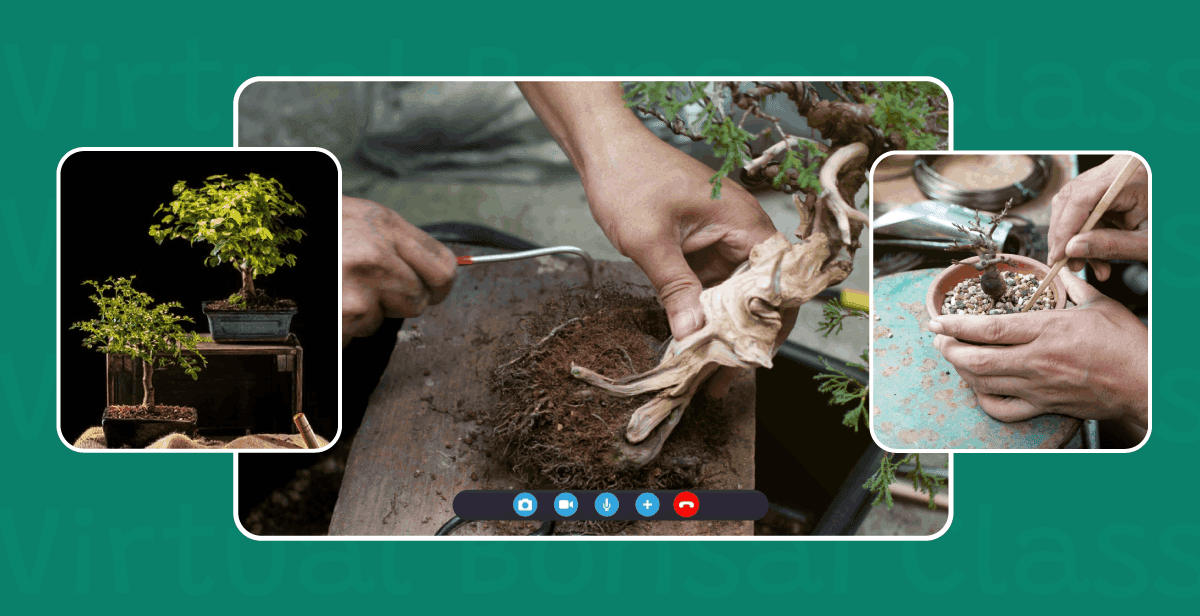 Virtual Bonsai Class
