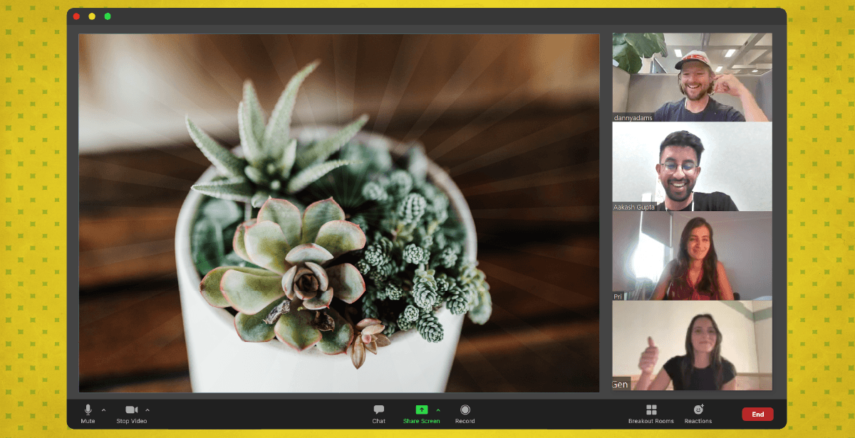 Virtual Ceramic Succulent Planter