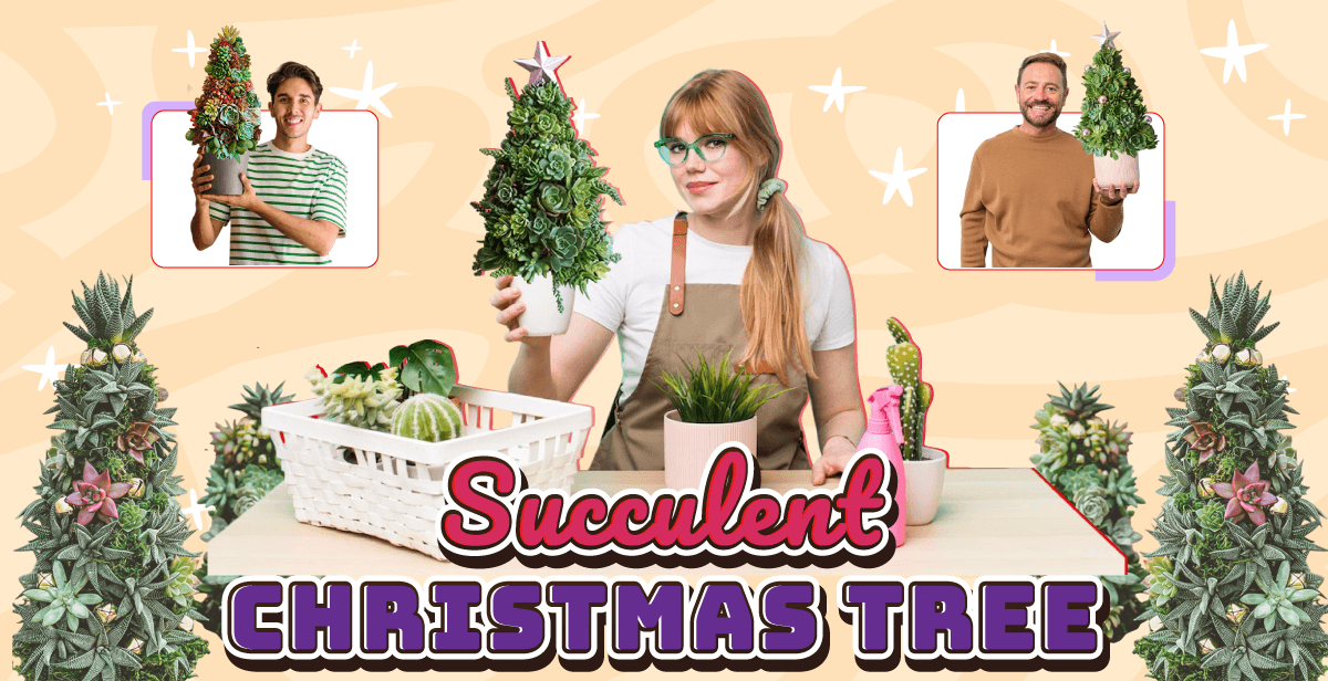 Virtual Succulent Christmas Tree