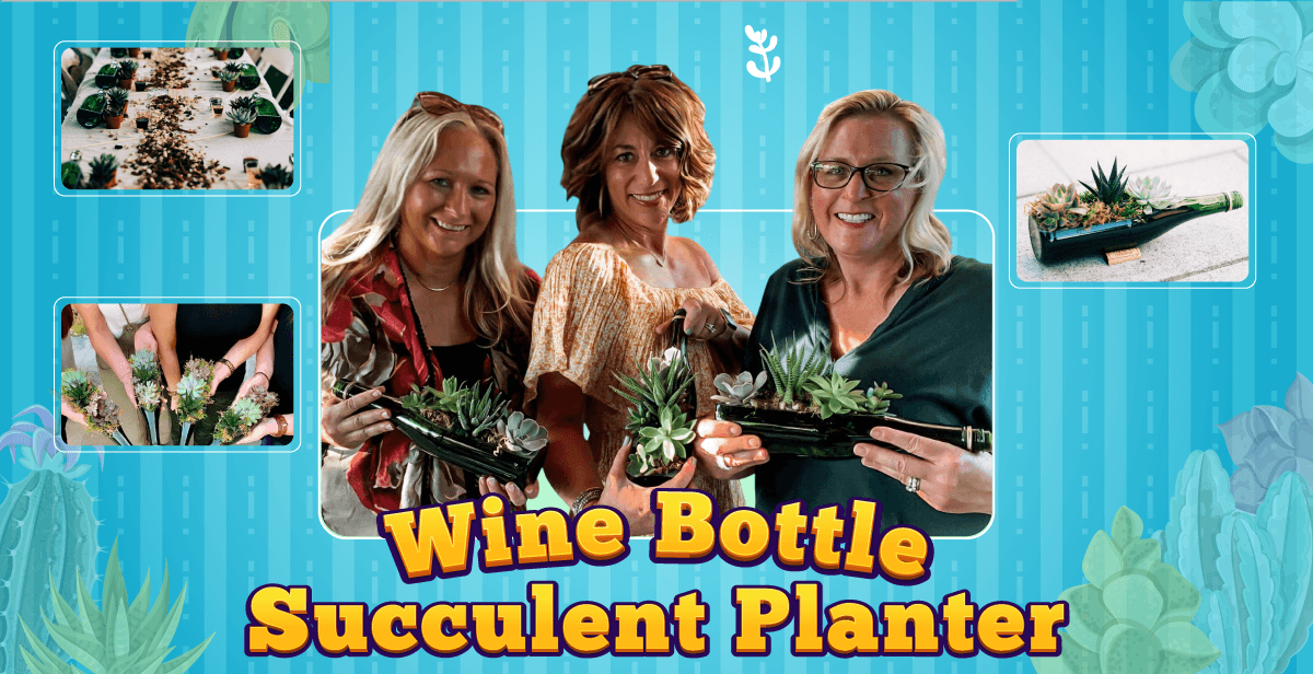 Virtual Wine Bottle Succulent Arrangement