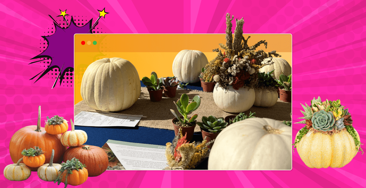 Virtual Pumpkin Succulent Planter