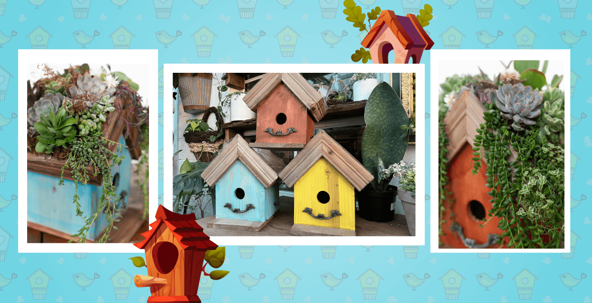 Virtual Succulent Birdhouse