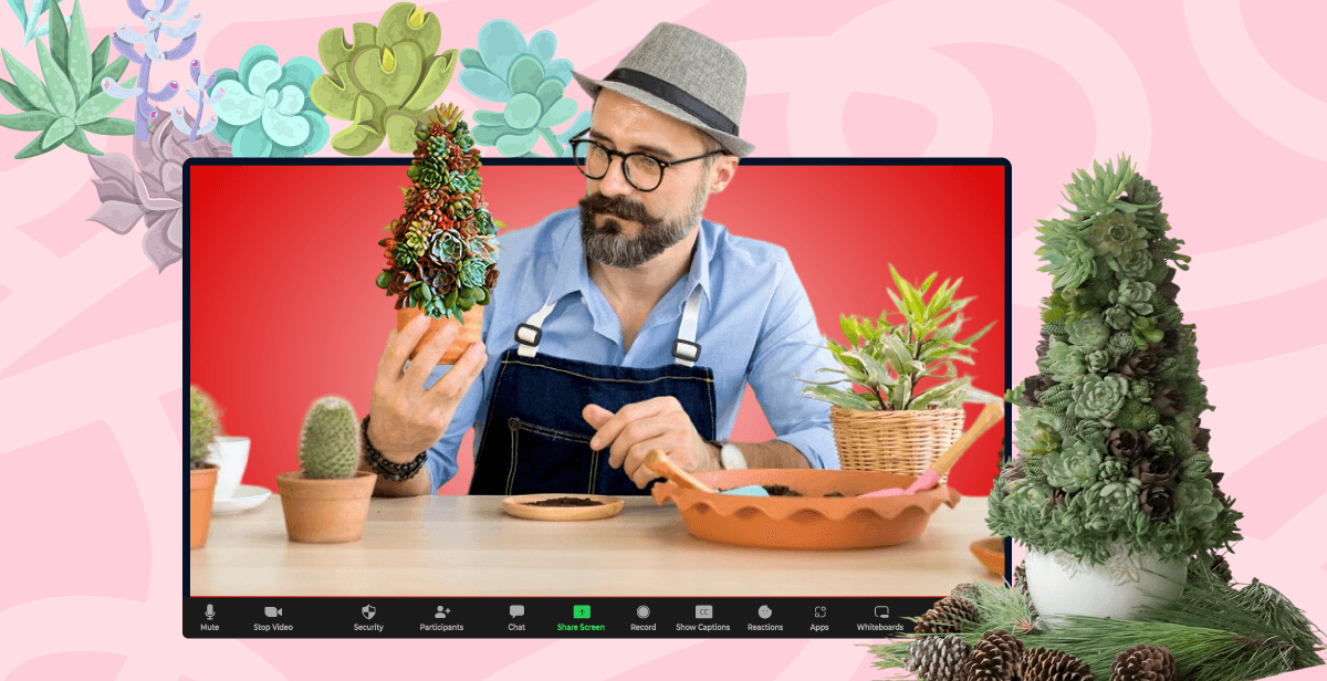 Virtual Succulent Christmas Tree