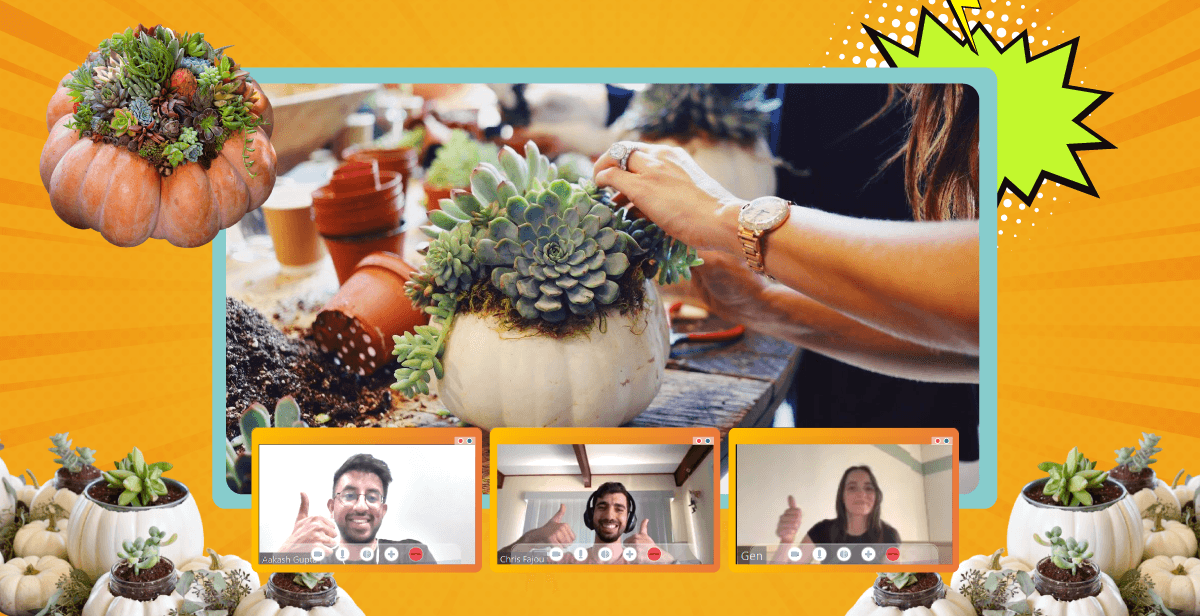 Virtual Pumpkin Succulent Planter