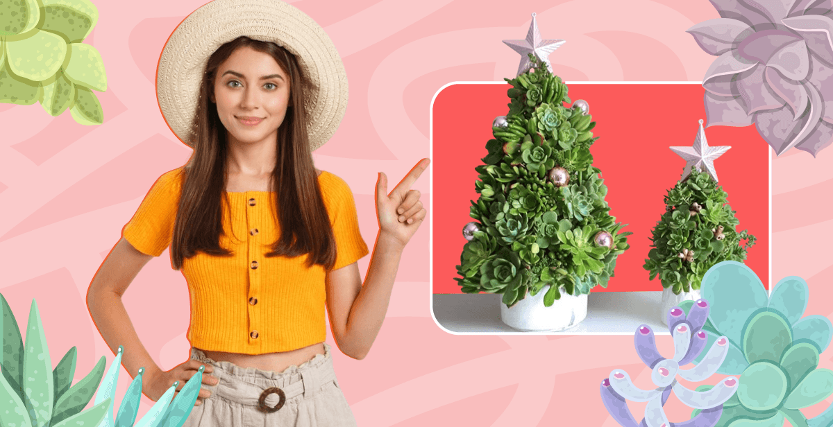 Virtual Succulent Christmas Tree