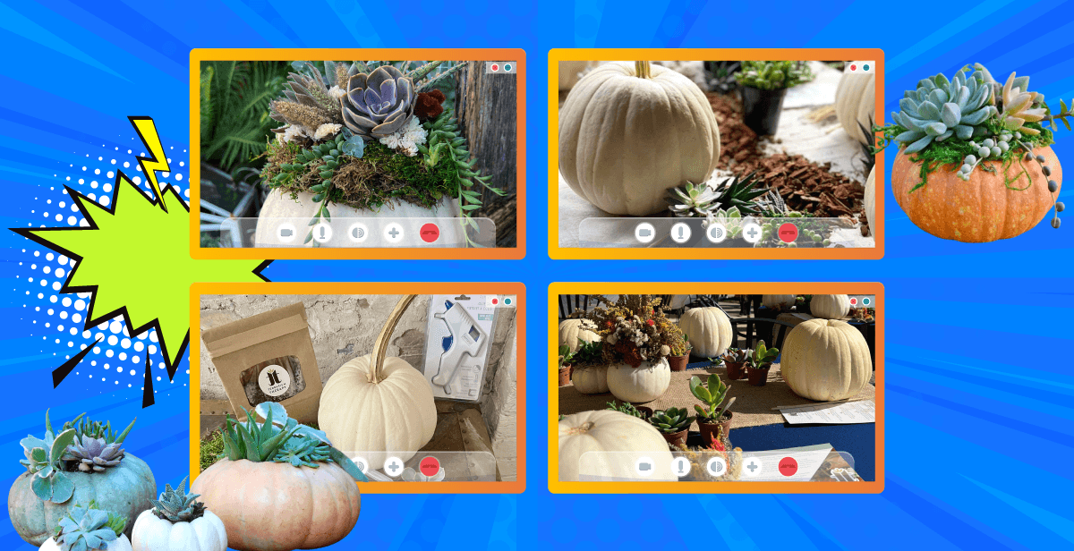 Virtual Pumpkin Succulent Planter