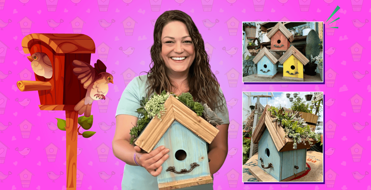 Virtual Succulent Birdhouse