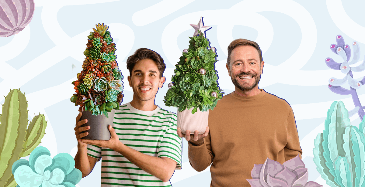 Virtual Succulent Christmas Tree