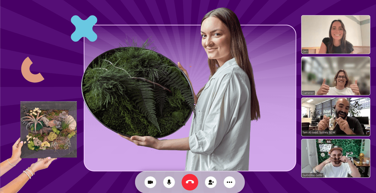 Virtual Moss Wall with Air Plants