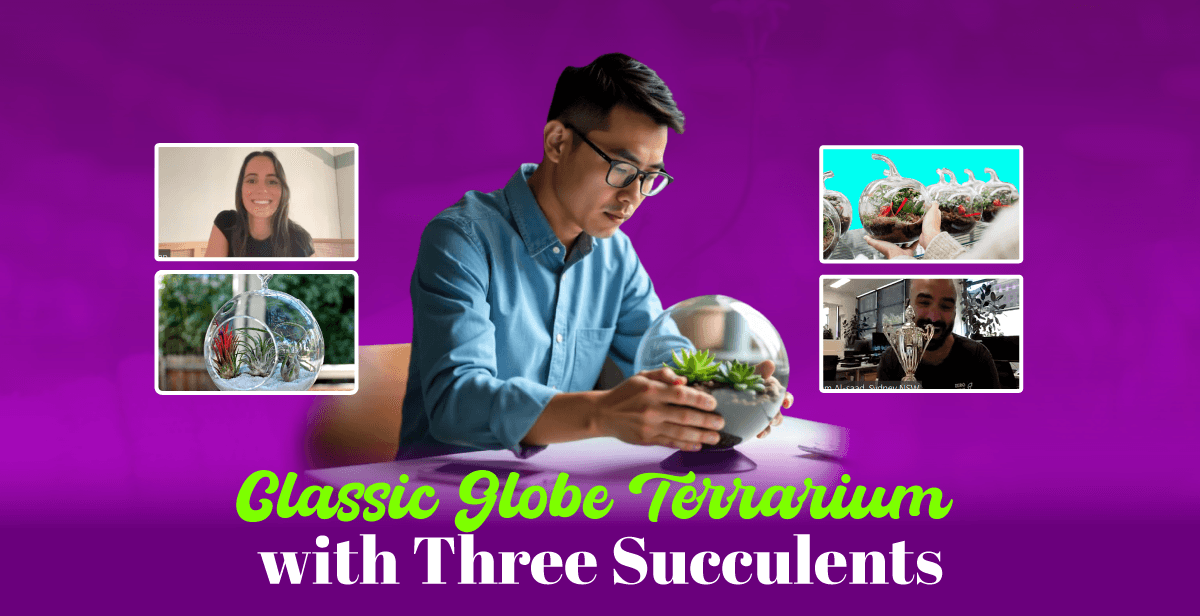Virtual Classic Globe Terrarium with Three Succulents