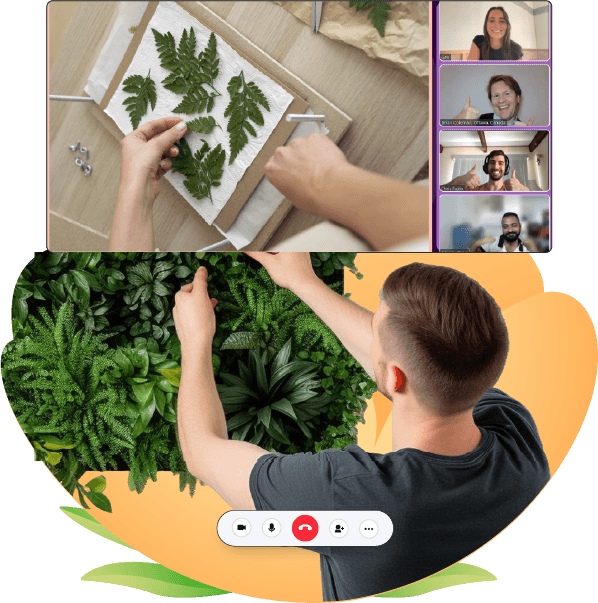 Virtual Moss Wall with Air Plants Virtual Moss Wall with Air Plants