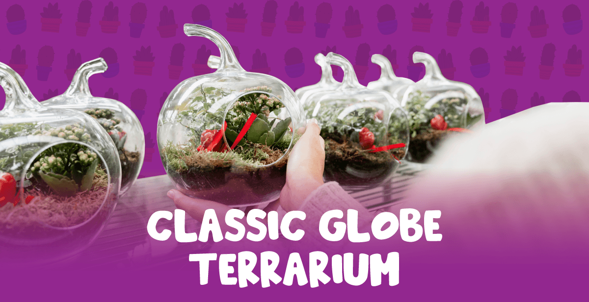 Virtual Classic Globe Terrarium with Two Succulents