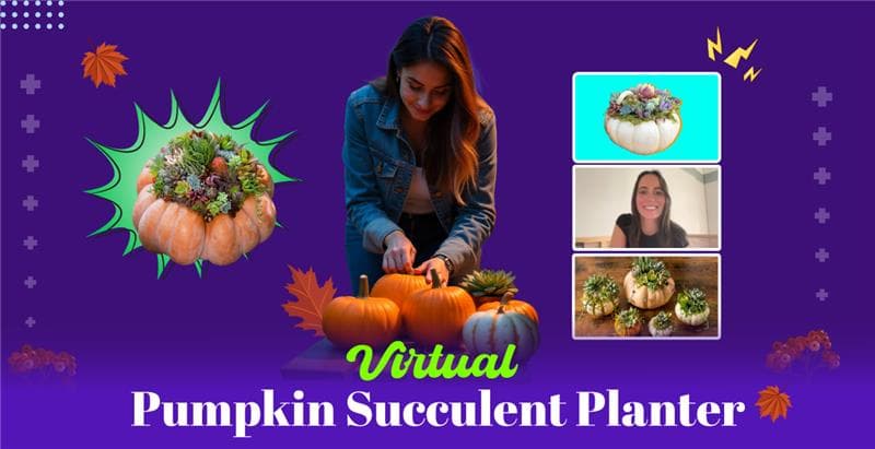 virtual-pumpkin-succulent-planter
