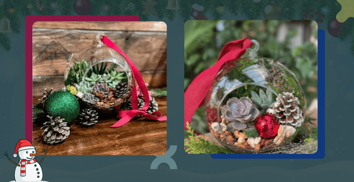 Virtual Holiday Succulent Globe
