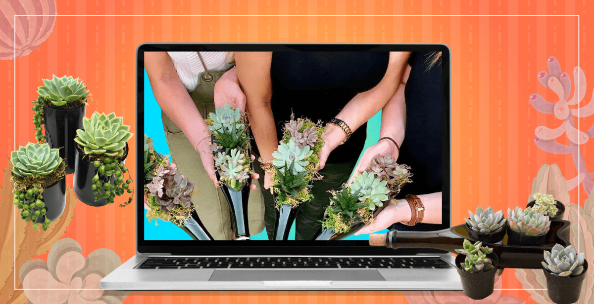 Virtual Wine Bottle Succulent Arrangement