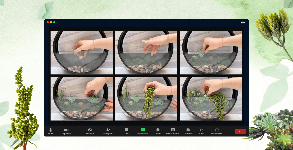 Virtual Modern Wall Terrarium Making