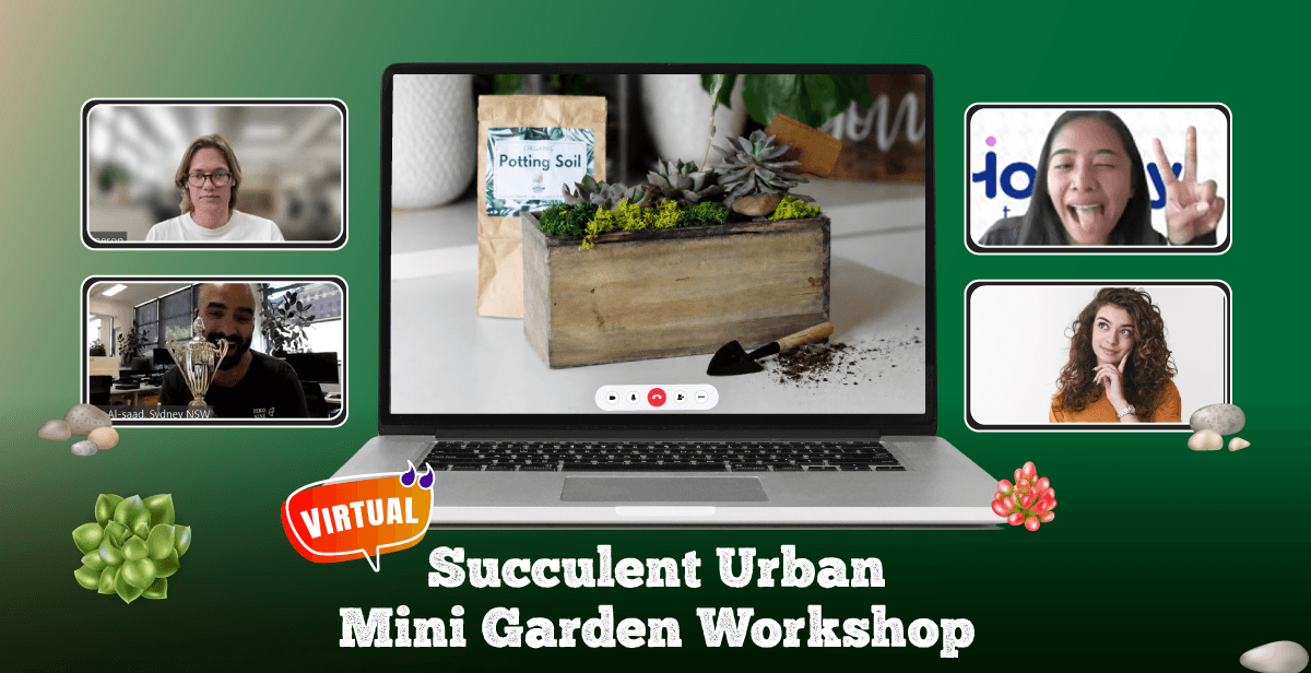 Virtual Succulent Urban Mini Garden Workshop