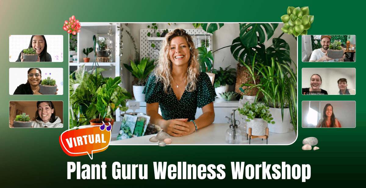 Virtual Plant Guru Wellness Workshop
