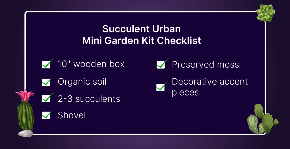 Virtual Succulent Urban Mini Garden Workshop