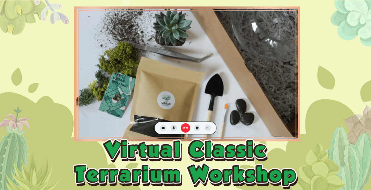 Virtual Classic Terrarium Workshop