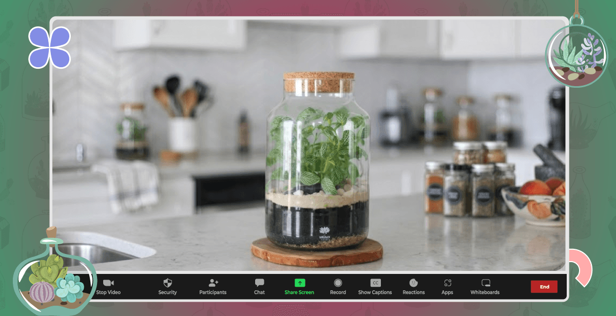 Virtual Sealed Terrarium Workshop