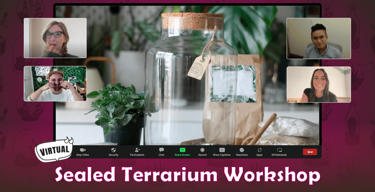 Virtual Sealed Terrarium Workshop