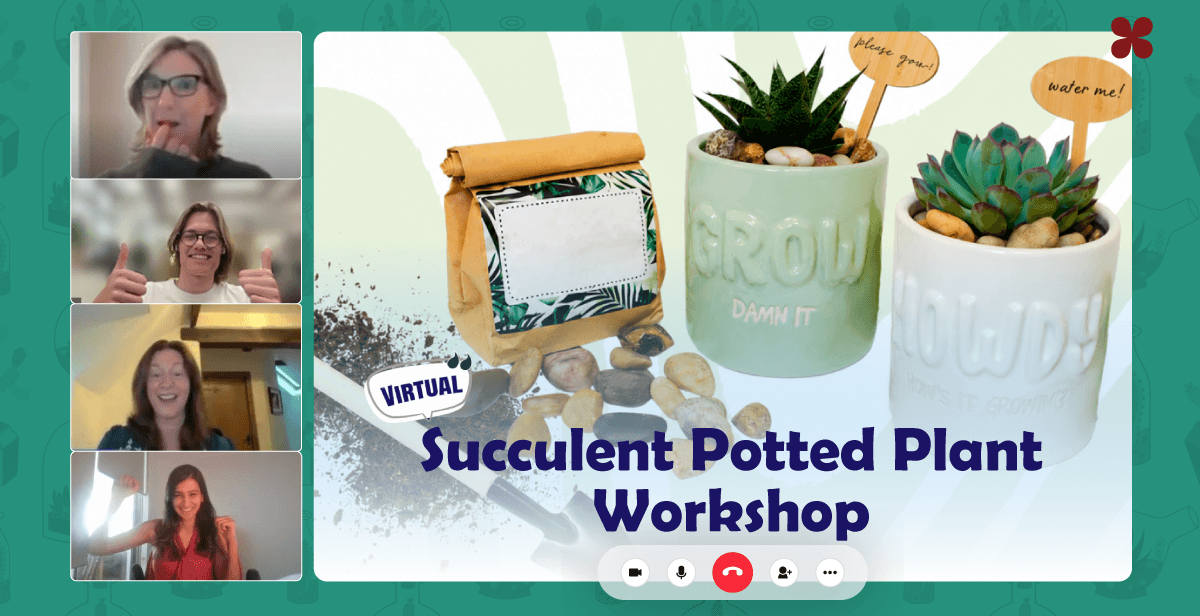 Virtual Succulent Potted Plant Workshop