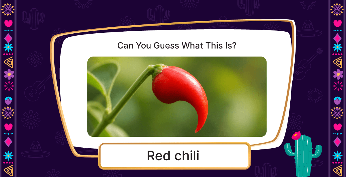 Virtual Hispanic Heritage – Guess the Picture